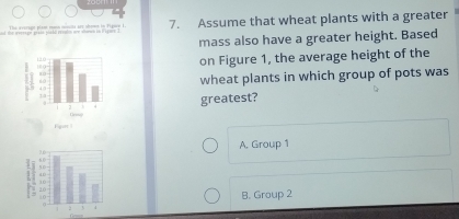 Te avan e e m minte a shene in tipee 7. Assume that wheat plants with a greater
mass also have a greater height. Based
on Figure 1, the average height of the
wheat plants in which group of pots was
greatest?
A. Group 1
B. Group 2
G