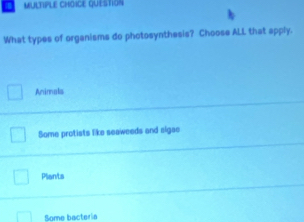 QUESTION
What types of organisms do photosynthesis? Choose ALL that apply.
Animals
Some protists like seaweeds and sigae
Plants
Some bacteria