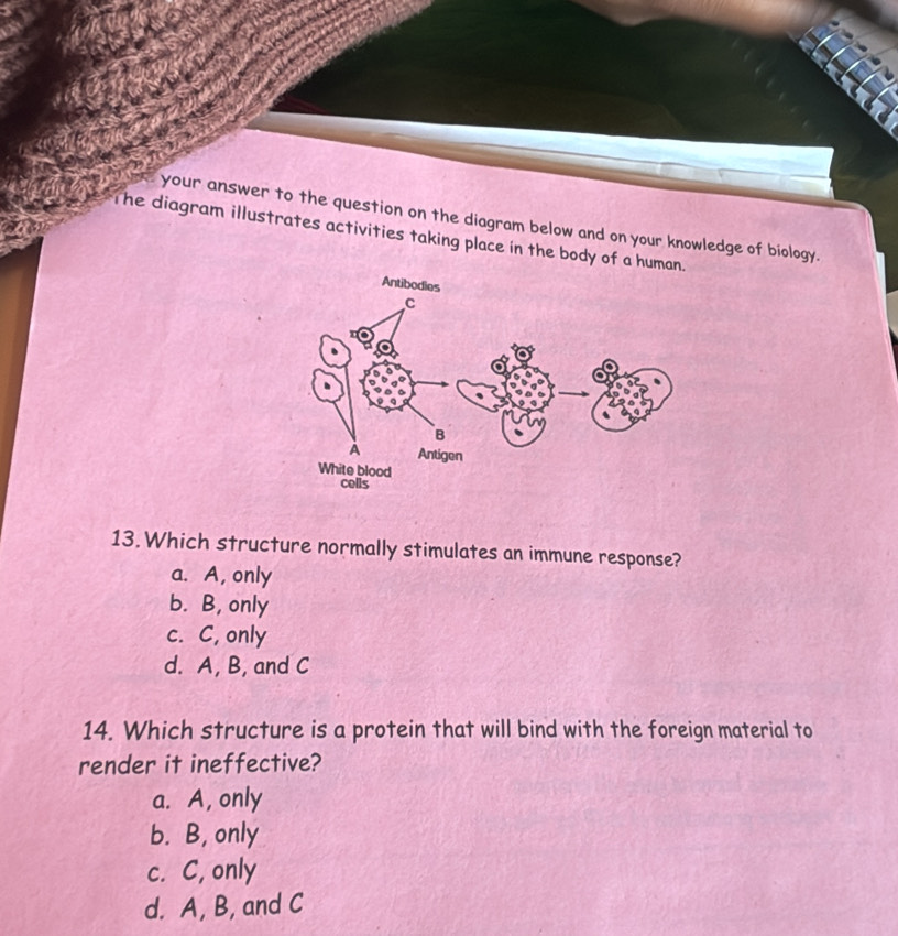 your answer to the question on the diagram below and on your knowledge of biology.
The diagram illustrates activities taking place in the body of a human.
13. Which structure normally stimulates an immune response?
a. A, only
b. B, only
c. C, only
d. A, B, and C
14. Which structure is a protein that will bind with the foreign material to
render it ineffective?
a. A, only
b. B, only
c. C, only
d. A, B, and C