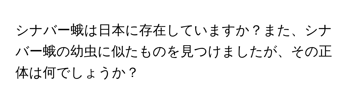 シナバー蛾は日本に存在していますか？また、シナバー蛾の幼虫に似たものを見つけましたが、その正体は何でしょうか？