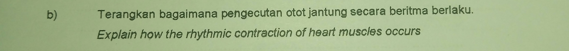 Terangkan bagaimana pengecutan otot jantung secara beritma berlaku. 
Explain how the rhythmic contraction of heart muscles occurs