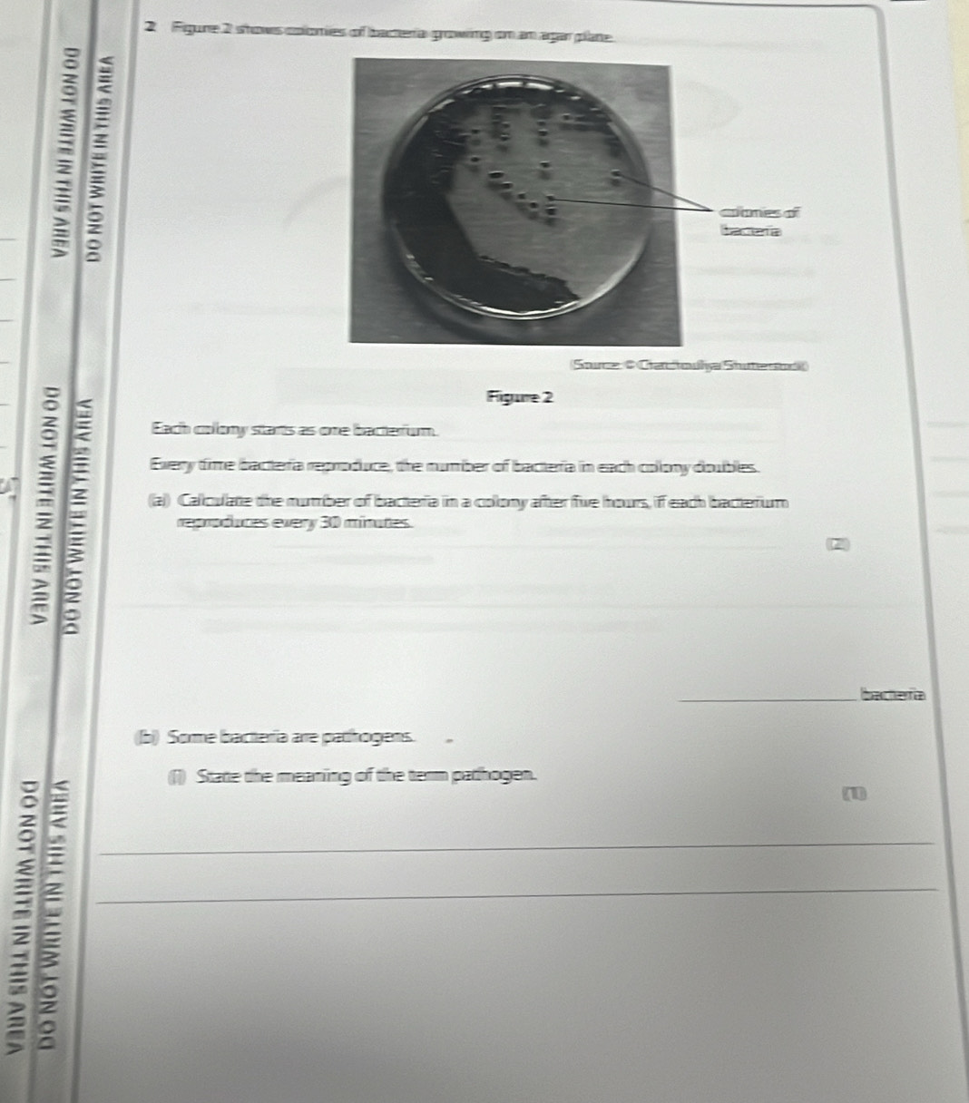 Figure 2 shows colomies of bacteria growing on am agar plane. 
: 
Sourez @ Gatowhya Stestod 
Figure 2 
Each colomy starts as one bacterrur 
Every time bacterfa reproduce, the number of bacterfa in each colony doubles. 
a : (a) Calloulate the mumber of bactera in a colony after five hours, if each bactefum 
reproduces every 30 minaties. 
_daaia 
(b) Some bactería are pathogens.. 

() State the meaning of the term pathogen. 
_ 
_