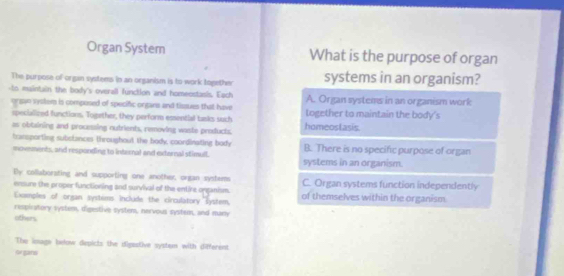 Organ System What is the purpose of organ
The purpose of organ systems in an organism is to work together systems in an organism?
-to maintain the body's overall function and homeostasis. Each A. Organ systems in an organism work
orsan vslom is composed of specific organs and tissues that have
specialized functions. Together, they perform essential tnks such together to maintain the body's
as obtaining and processing nutrients, removing woste products. homeostasis.
transporting subslances throughout the body, coordinating body
movements, and responding to internal and external stimull. systems in an organism. B. There is no specific purpose of organ
By collaborating and supporting one another, organ systems C. Organ systems function independently
ensure the proper functioning and survival of the entire onganism.
Exemples of organ systems include the circulatory system, of themselves within the organism.
respiratory system, digestive system, nervous system, and muany
others
The ioage below depicts the digestive systen with different
or gans