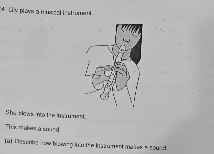 Lily plays a musical instrument. 
She blows into the instrument. 
This makes a sound. 
(a) Describe how blowing into the instrument makes a sound.