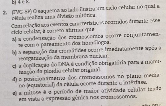 b) 4 e 8.
2. (FVG-SP) O esquema ao lado ilustra um ciclo celular no qual a
célula realiza uma divisão mitótica.
Com relação aos eventos característicos ocorridos durante esse
ciclo celular, é correto afirmar que
a) a condensação dos cromossomos ocorre conjuntamen-
te com o pareamento dos homólogos.
b) a separação das cromátides ocorre imediatamente após a
reorganização da membrana nuclear.
c) a duplicação do DNA é condição obrigatória para a manu-
tenção da ploidia celular original.
d) o posicionamento dos cromossomos no plano media-
no (equatorial) da célula ocorre durante a intérfase.
e) a mitose é o período de maior atividade celular tendo
em vista a expressão gênica nos cromossomos.