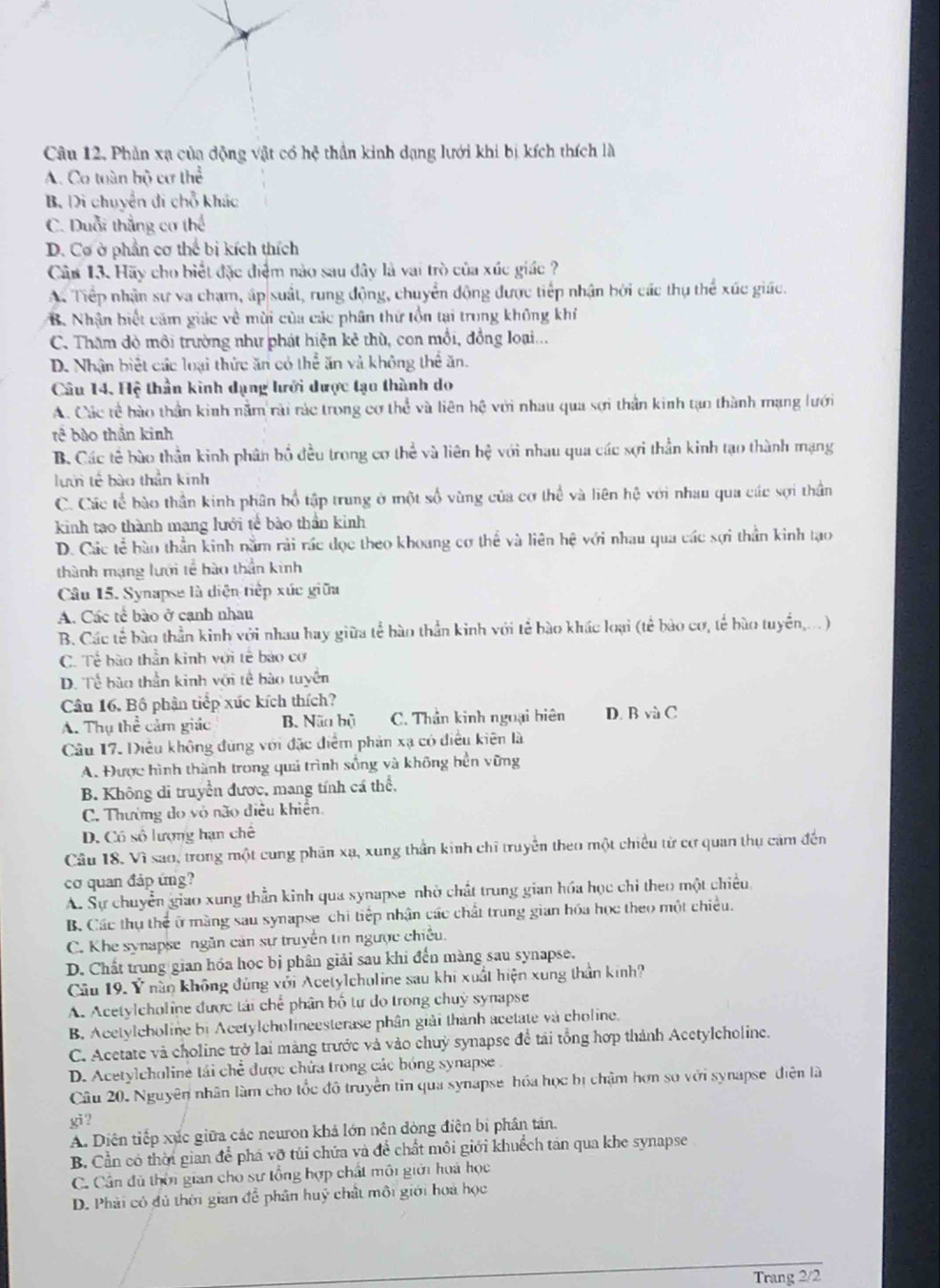 Câu 12, Phản xạ của dộng vật có hệ thần kinh dạng lưới khi bị kích thích là
A. Cơ tuàn bộ cơ thể
B. Di chuyển đi chỗ khác
C. Duổi thắng cơ thể
D. Cơ ở phần cơ thể bị kích thích
Câu 13. Hãy cho biết đặc điểm nào sau đây là vai trò của xúc giác ?
A. Tiếp nhận sự va chạm, áp suất, rung động, chuyển động được tiếp nhận bởi các thụ thể xúc giác.
B. Nhận biết cảm giác về mùi của các phân thứ tồn tại trung không khí
C. Thăm đò môi trường như phát hiện kẻ thù, con mồi, đồng loại...
D. Nhận biết các loại thức ăn có thể ăn và không thể ăn.
Câu 14. Hệ thần kinh dạng hưới dược tạo thành do
A. Các tề hào thần kinh nằm rài rác trong cơ thể và liên hệ với nhau qua sợi thần kinh tạo thành mạng lưới
tê bào thần kinh
B. Các tế bào thần kinh phân bố đều trong cơ thể và liên hệ với nhau qua các sợi thần kinh tạo thành mạng
lướn tế bào thần kinh
C. Các tế bào thần kinh phân bổ tập trung ở một số vùng của cơ thể và liên hệ với nhau qua các sợi thần
kinh tạo thành mạng lưới tế bào thần kinh
D. Các tể bào thần kinh nằm rải rác đọc theo khoang cơ thể và liên hệ với nhau qua các sợi thần kinh tạo
thành mạng lưới tế hào thần kinh
Câu 15. Synapse là diện tiếp xúc giữa
A. Các tế bào ở cạnh nhau
B. Các tế bào thần kinh với nhau hay giữa tế hào thần kinh với tế bào khác loại (tế bào cơ, tế hào tuyển,...)
C. Tế bào thần kinh với tế bào cơ
D. Tề bào thần kinh với tế bào tuyển
Câu 16. Bộ phận tiếp xúc kích thích?
A. Thụ thể cảm giác B. Nãa bộ C. Thần kinh ngoại biên D. B và C
Câu 17. Diều không đùng với đặc điểm phản xạ có điều kiên là
A. Được hình thành trong quá trình sống và không bền vững
B. Không di truyền được, mang tính cá thể,
C. Thường do vỏ não điều khiên
D. Cô số lượng hạn chế
Câu 18. Vì sao, trong một cung phân xạ, xung thần kinh chỉ truyền theo một chiều từ cơ quan thụ cảm đến
cơ quan đáp ứng?
A. Sự chuyển giao xung thần kinh qua synapse nhờ chất trung gian hóa học chỉ theo một chiều
B. Các thụ thể ở màng sau synapse chi tiếp nhận các chất trung gian hóa học theo một chiều.
C. Khe synapse ngăn cản sự truyền tin ngược chiều.
D. Chất trung gian hóa học bị phân giải sau khi đến màng sau synapse.
Câu 19. ∠ 1 nằn không đùng với Acetylcholine sau khi xuất hiện xung thần kinh?
   
A. Acetylcholine được tải chế phân bố tự do trong chuỷ synapse
B Acetylcholine bị Acetylcholineesterase phân giải thành acetate và choline.
C. Acetate và choline trở lai màng trước và vào chuỳ synapse để tái tổng hợp thành Acetylcholine.
D. Acetylcholine tái chể được chứa trong các bóng synapse 
Câu 20. Nguyên nhân làm cho tốc độ truyền tin qua synapse hóa học bị chậm hơn so với synapse điện là
x^i
A. Diên tiếp xắc giữa các neuron khả lớn nên đòng điện bị phân tán.
B. Cần có thời gian để phá vỡ túi chứa và đề chất môi giới khuếch tán qua khe synapse
C. Cần đủ thời gian cho sự tổng hợp chất môi giới hoá học
D. Phải có đủ thời gian đễ phân huý chất môi giới hoa học
Trang 2/2