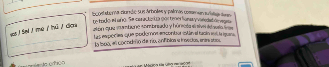 Ecosistema donde sus árboles y palmas conservan su follaje duran- 
te todo el año. Se caracteriza por tener lianas y variedad de vegeta- 
_ 
vas / Sel / me / hú / das 
ción que mantiene sombreado y húmedo el nivel del suelo. Entre 
las especies que podemos encontrar están el tucán real, la iguana, 
la boa, el cocodrilo de río, anfibios e insectos, entre otros. 
ramiento crítico 
en México de una variedad