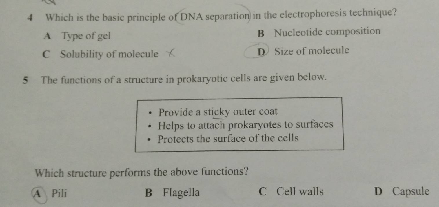 Which is the basic principle of DNA separation in the electrophoresis technique?
A Type of gel B Nucleotide composition
C Solubility of molecule D Size of molecule
5 The functions of a structure in prokaryotic cells are given below.
Provide a sticky outer coat
Helps to attach prokaryotes to surfaces
Protects the surface of the cells
Which structure performs the above functions?
A Pili B Flagella C Cell walls D Capsule