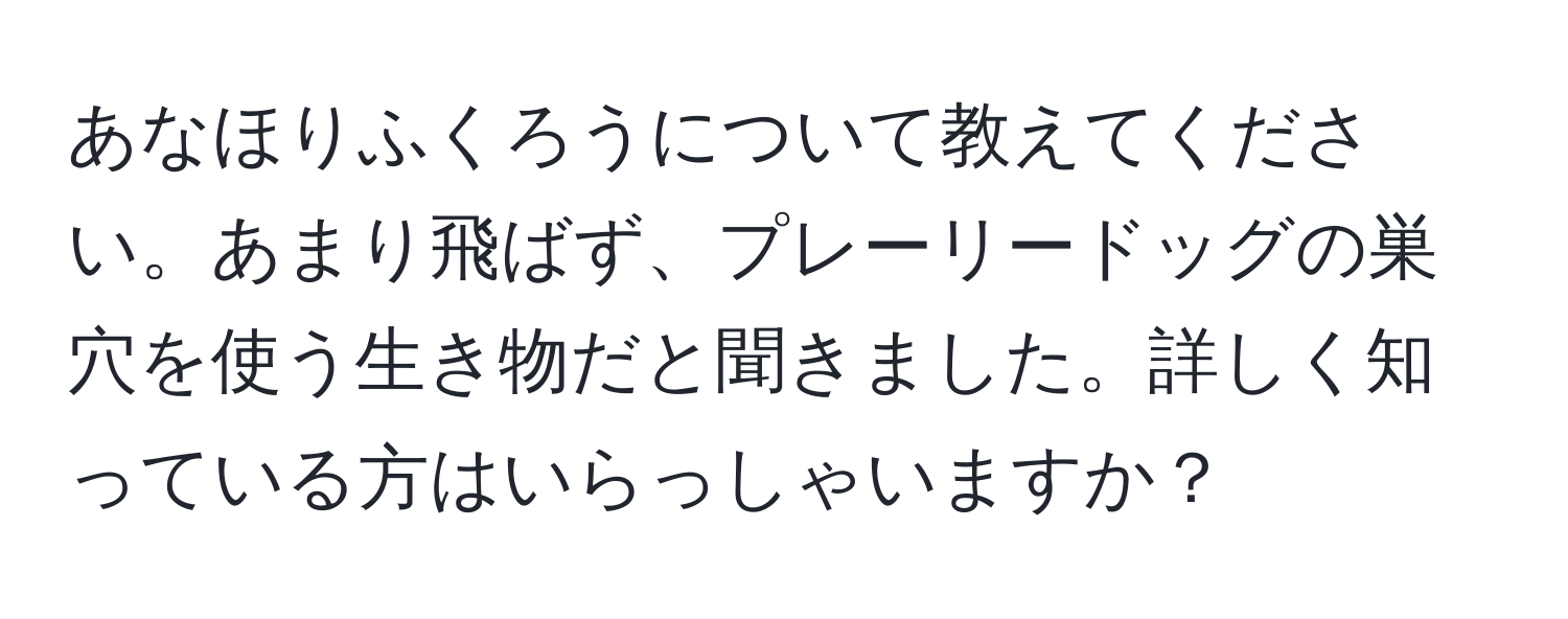 あなほりふくろうについて教えてください。あまり飛ばず、プレーリードッグの巣穴を使う生き物だと聞きました。詳しく知っている方はいらっしゃいますか？