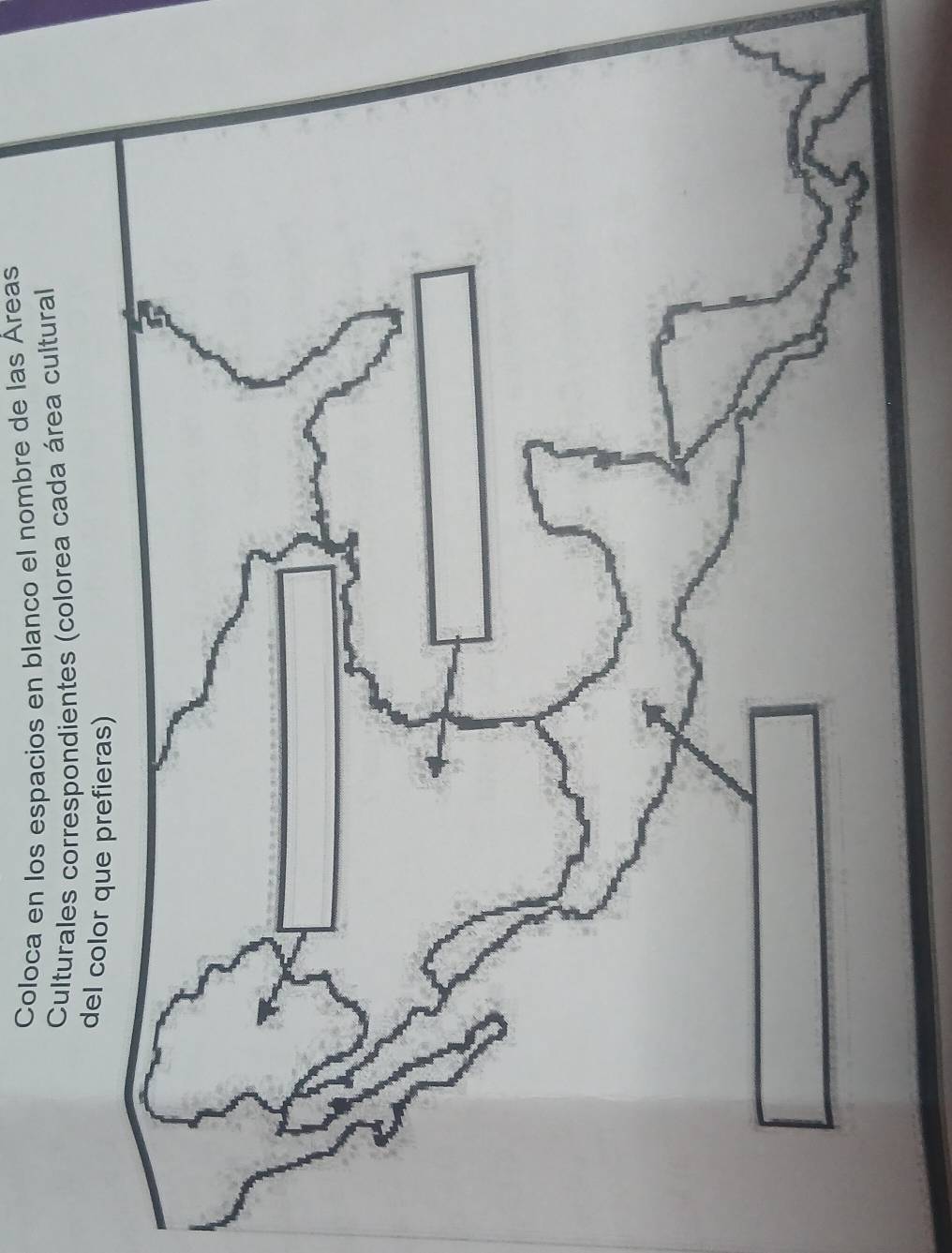 Coloca en los espacios en blanco el nombre de las Áreas 
Culturales correspondientes (colorea cada área cultural 
del