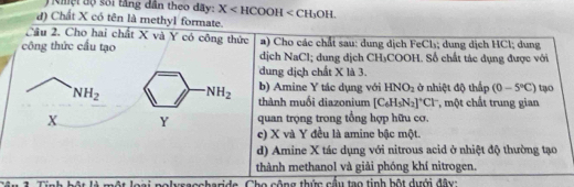 ội độ sối tăng dân theo dãy: X
d) Chât X có tên là methyl formate.
Cầu 2. Cho hai chất X và Y có công thức a) Cho các chất sau: dung dịch FeCl₃; dung dịch HCl; dung
công thức cầu tạo dịch NaCl; dung dịch CH₃COOH. Số chất tác dụng được với
dung dịch chất X là 3.
b) Amine Y tác dụng với HNO_2 ở nhiệt độ thấp (0-5°C) tạo
thành muối diazonium [C_6H_5N_2]^+Cl^- , một chất trung gian
quan trọng trong tổng hợp hữu cơ.
c) X và Y đều là amine bậc một.
d) Amine X tác dụng với nitrous acid ở nhiệt độ thường tạo
thành methanol và giải phóng khí nitrogen.
1 Tinh hột là một loại nolysaccbarida. Cho công thức cầu tạo tinh bột dưới đây: