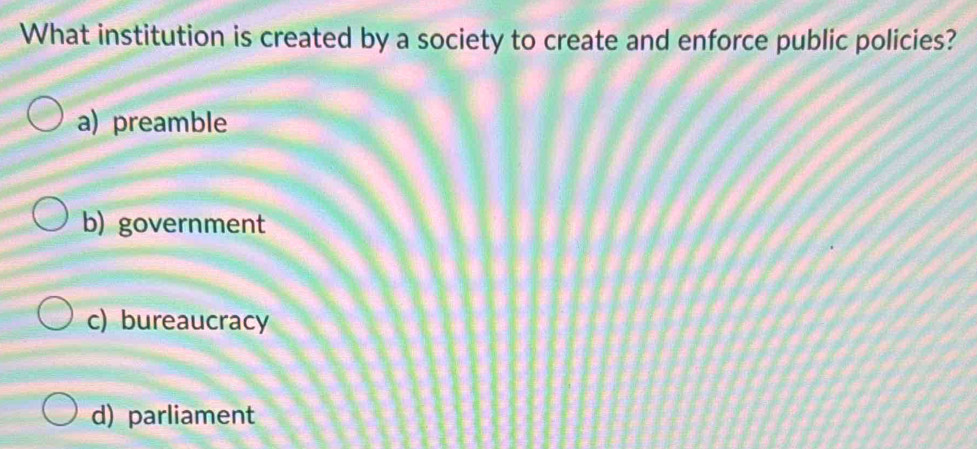 What institution is created by a society to create and enforce public policies?
a) preamble
b) government
c) bureaucracy
d) parliament