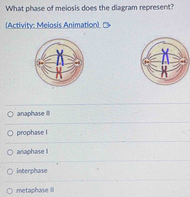 Solved: What phase of meiosis does the diagram represent? (Activity ...