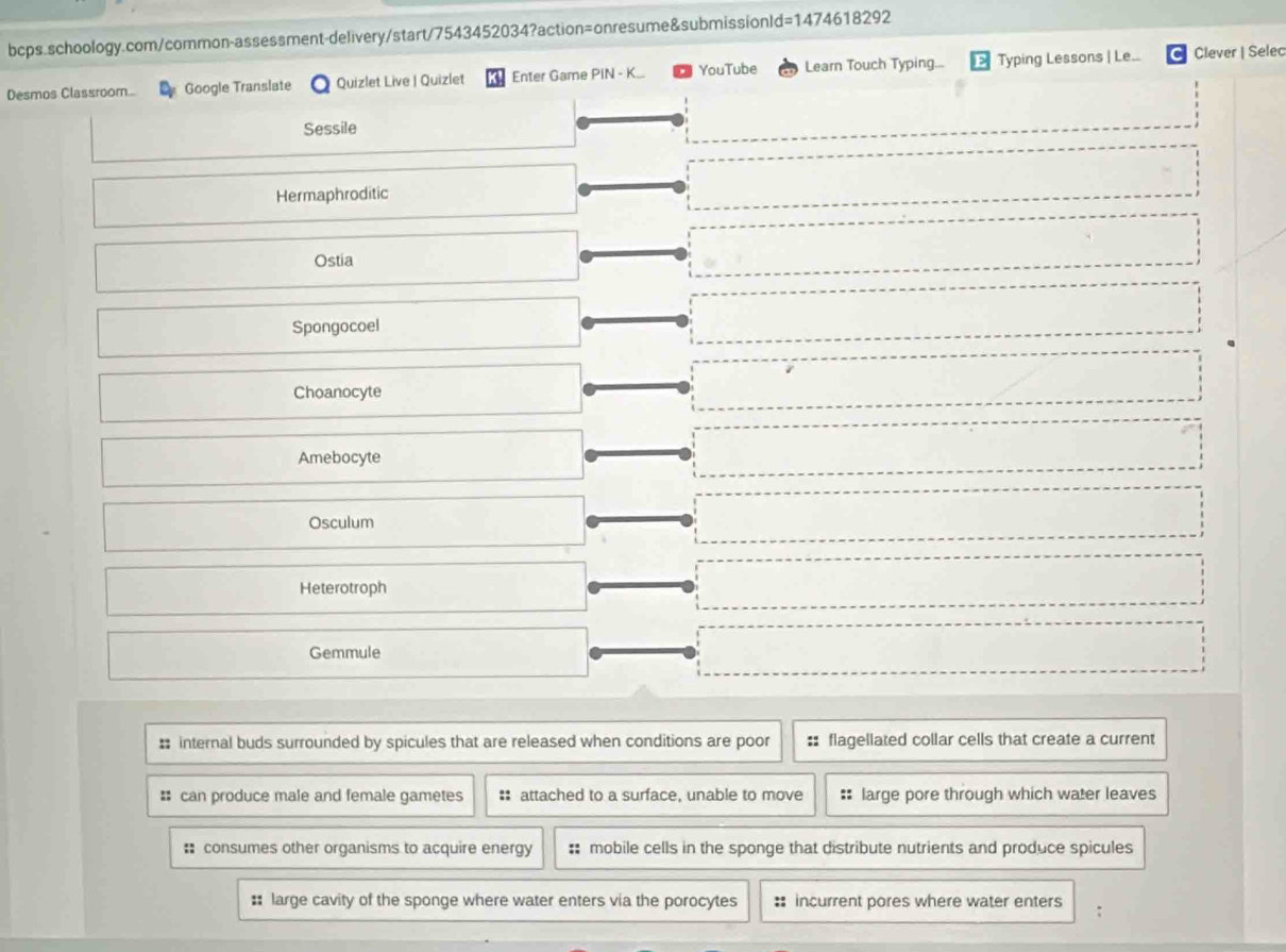 Desmos Classroom... Google Translate Quizlet Live | Quizlet Enter Game PIN - K... YouTube Learn Touch Typing... Typing Lessons | Le... Clever | Selec
Sessile
Hermaphroditic
Ostia
Spongocoel
Choanocyte
Amebocyte
Osculum
Heterotroph
Gemmule
# internal buds surrounded by spicules that are released when conditions are poor :: flagellated collar cells that create a current
# can produce male and female gametes : attached to a surface, unable to move : large pore through which water leaves
: consumes other organisms to acquire energy : mobile cells in the sponge that distribute nutrients and produce spicules
: large cavity of the sponge where water enters via the porocytes : incurrent pores where water enters