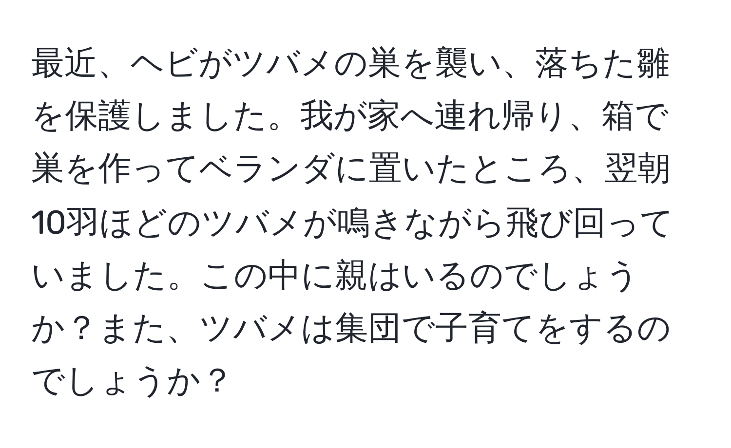 最近、ヘビがツバメの巣を襲い、落ちた雛を保護しました。我が家へ連れ帰り、箱で巣を作ってベランダに置いたところ、翌朝10羽ほどのツバメが鳴きながら飛び回っていました。この中に親はいるのでしょうか？また、ツバメは集団で子育てをするのでしょうか？