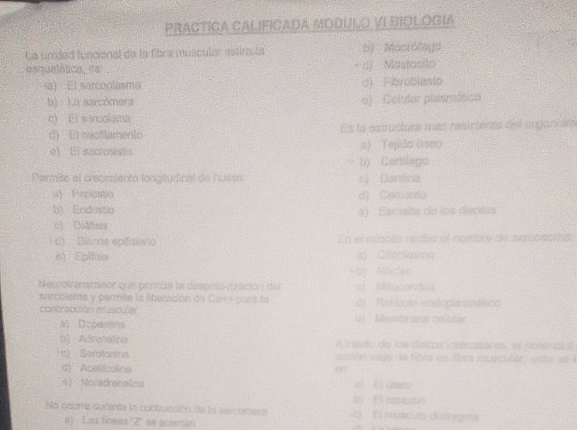 PRACTICA CALIFICADA MODULO VI BIOLOGIA
La unided funcional de la fibra muscular estirada b) Macrólago
asqualética, es d) Mastocito
la) El sarcoplasma d) Fibroblasto
b) La sarcómera e) Colulor plaemática
c) El saruoloma
d) El mioflamento Es la esiructura más resirtenta del organtém
e) E sncrosistis n) Tejido aseo
b) Cartilago
Permite el crecimiento longitudinal de hueso c) Danlina
a) Periostia d) Cemanto
b) Endostio s) Esmalta de los dentas
c) Diatisis
i d't Discae epifisiorio En el miccito recba el nombre de serccnenal
e) Epitisis a) Crto(staxna
b) Nútan
Neutotranamisor que permde la despola cización del c Milocorssa
sarcolema y permile la liberación de Ca++ parí la d) Retículo endopla sméfico
contracción muscular
A) Depamina () Membrana colíar
b) Adrenajina A travéu de las discos intéroaiares, el noleicoul
c) Serotonina acción viaa de fbra en fors moacular, vita se
d) Acelicoline
s) Noradronalina a El chera
b El conwslin
No odume ducente la confracción de la sercrinera Elmuscuro dipan
a) Las líneas ''Z' se acercan