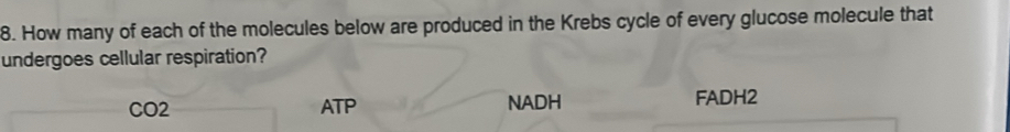 How many of each of the molecules below are produced in the Krebs cycle of every glucose molecule that
undergoes cellular respiration?
CO2 ATP NADH FADH2