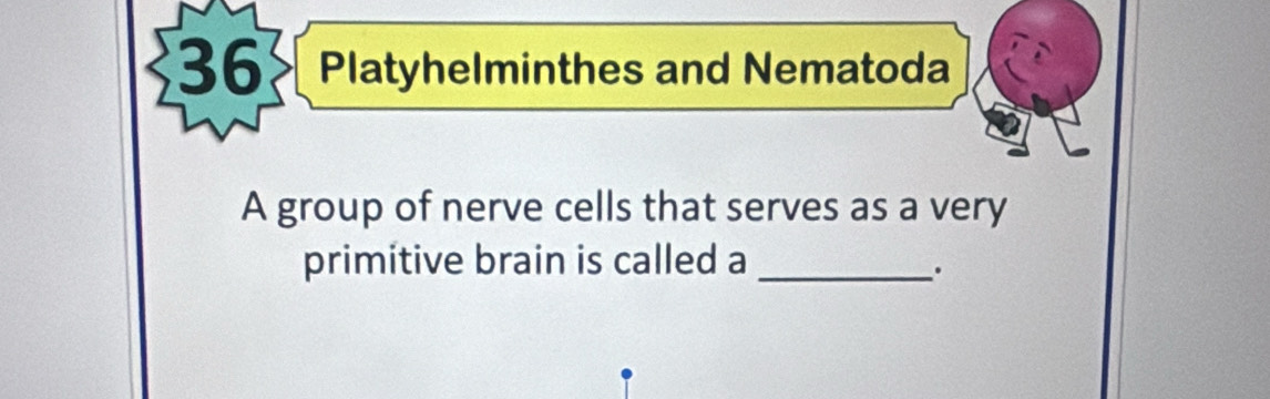 Platyhelminthes and Nematoda 
A group of nerve cells that serves as a very 
primitive brain is called a_ 
.