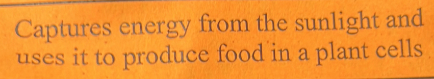 Captures energy from the sunlight and 
uses it to produce food in a plant cells