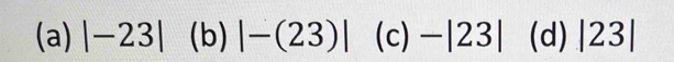 (a) |-23| (b) |-(23)| ^ (c)-|23| (d) |23|