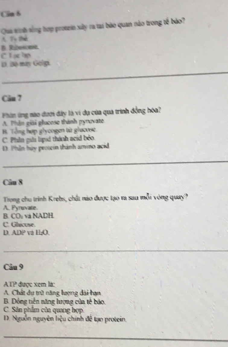 Cin 6
Qaa tinh tổng hợp protein xây ra tại bảo quan nào trong tế bảo?
A. Từ thể
B. Ribescese
C 1 p lp
D. Bộ may Goip
_
Câu 7
Phin ứng nào dưới đây là ví dụ của quá trình đồng hóa?
A. Phân giải glucose thành pyruvate
B Tổng hợp glycogen từ glucose.
C. Philn giải lipid thành acid bèo.
D: Phần hủy protein thành amino acid
_
Câu 8
Trong chu trình Krebs, chất nào được tạo ra sau mỗi vòng quay?
A. Pyruvate.
B CO_2 và NADH
C. Glucose.
D. ADP và H_2O
_
_
Câu 9
ATP được xem là:
A. Chât dự trữ năng lượng dài hạn
B. Dồng tiến năng lượng của tế bảo.
C. Sản phẩm của quang hợp
D. Nguồn nguyên liệu chính đề tạo protein.
_