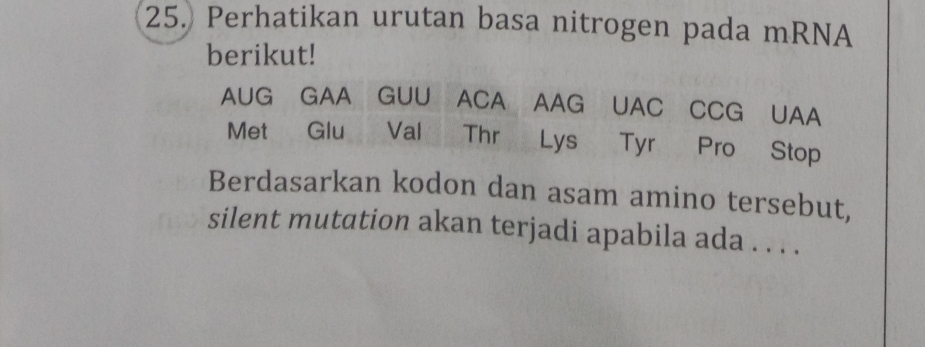 Perhatikan urutan basa nitrogen pada mRNA 
berikut! 
AUG GAA GUU ACA AAG UAC CCG UAA 
Met Glu Val Thr Lys Tyr Pro Stop 
Berdasarkan kodon dan asam amino tersebut, 
silent mutation akan terjadi apabila ada . . . .