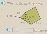 What is the surface area? 
D) □ square fe