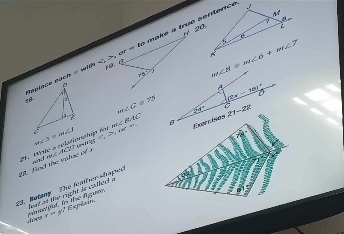 Replace each e with , make a true sentence
19.
18.
m∠ G=75
21. Write a relationship for m∠ BAC
m∠ 3
22. Find the value of x m∠ ACD using . or =.
and
23. Botany The feather-shaped
leaf at the right is called a
vinnatifid. In the figure,
does x=y ? Explain.