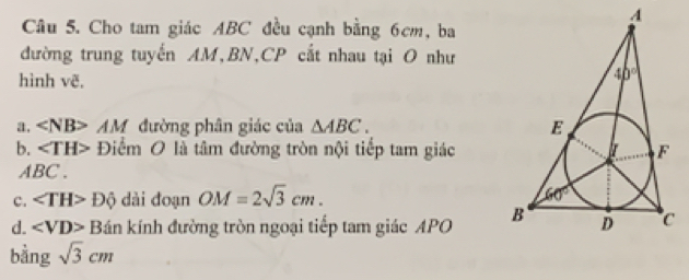 Cho tam giác ABC đều cạnh bằng 6cm, ba
đường trung tuyến AM,BN,CP cắt nhau tại O như
hình vẽ,
a. AM đường phân giác của △ ABC.
b. Điểm O là tâm đường tròn nội tiếp tam giác
ABC .
c. ∠ TH>Dhat Q dài đoạn OM=2sqrt(3)cm.
d. ∠ VD>B án kính đường tròn ngoại tiếp tam giác APO 
bằng sqrt(3)cm