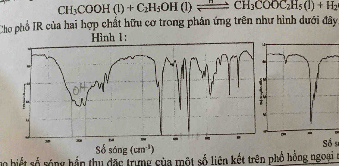 CH_3COOH(l)+C_2H_5OH(l)leftharpoons CH_3COOC_2H_5(l)+H_2
Cho phổ IR của hai hợp chất hữu cơ trong phản ứng trên như hình dưới đây
Hình 1:
Số sĩ
m0 biết số sóng hầp thu đặc trưng của một số liên kết trên phổ hồng ngoại 1