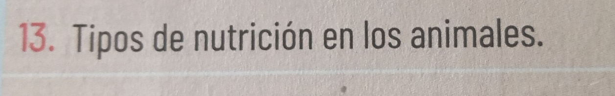 Tipos de nutrición en los animales.