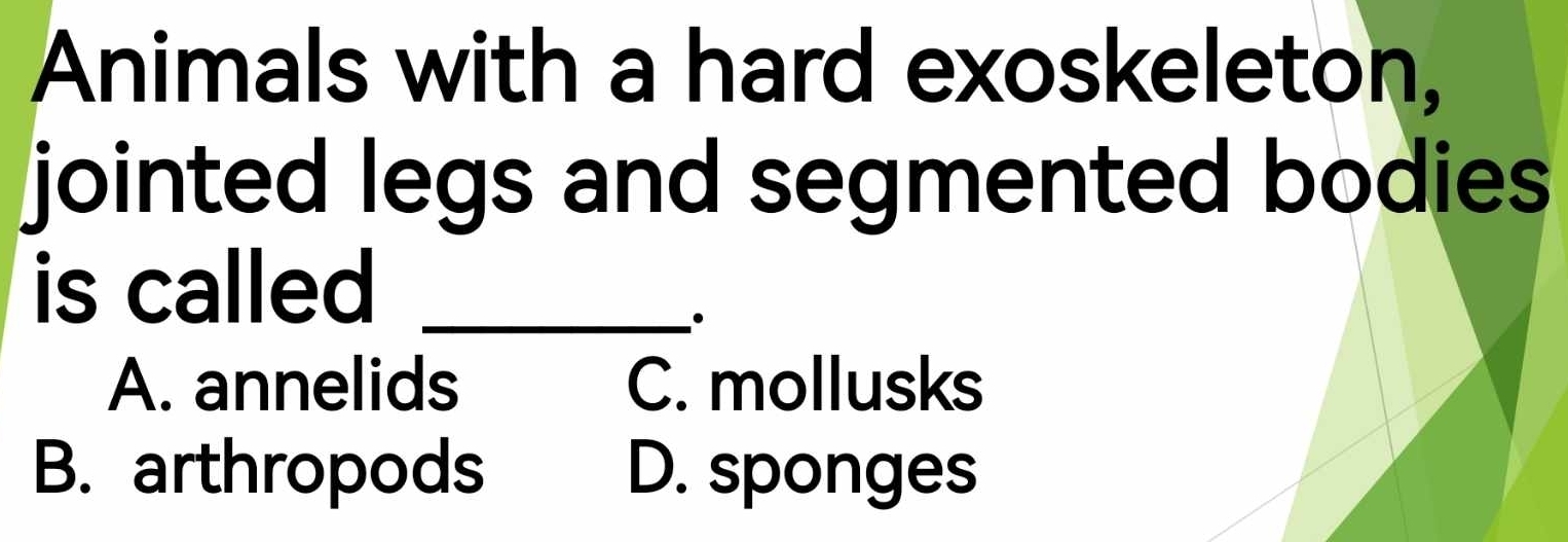 Animals with a hard exoskeleton,
jointed legs and segmented bodies
is called_
A. annelids C. mollusks
B. arthropods D. sponges