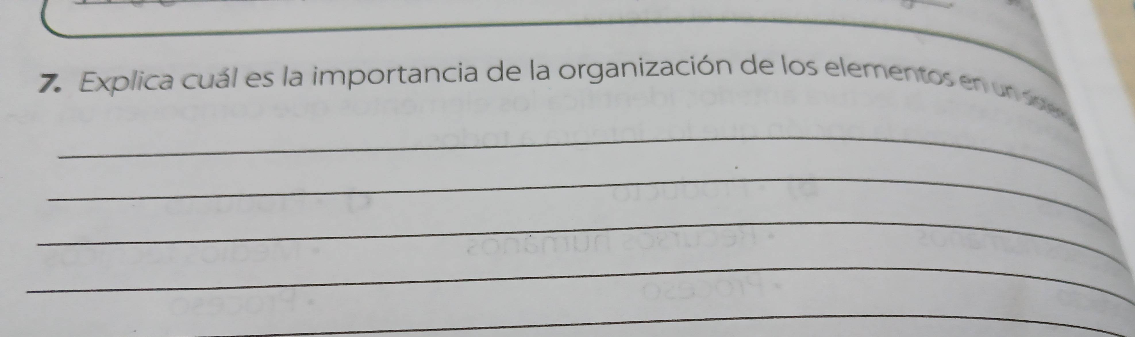 Explica cuál es la importancia de la organización de los elementos en un see 
_ 
_ 
_ 
_ 
_