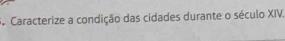 Caracterize a condição das cidades durante o século XIV.