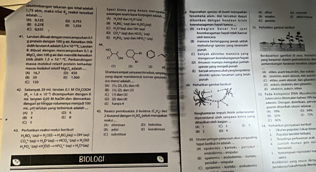 kesetimbangan tekanan gas total adalah Spesi kimia yang bukon merupakan
1,75 atm, maka nilai K reaksi tersebut pasangan asam basa konjugasl adalah 8. Kepūnahan spesies di bumi merupakan (A) ditusi (B) simplas (E aleenmunsa D osmosia
adalah fenomena alam. Hai tersebut dapat
dan H_3O^-(aq)
dikaitkan dengan keadaan krìsis (C) apoples
(A) 0,133 (D) 0.755 (A) H_2O(l) ' '  ( q) a 1,80,(a al keanekaragaman hayati karena ....
(B) 0,278 (E) 1,333
(B) H_2BO
(C) 0,555 (C) H.O°(a q) dan OH (aq) (A) sebagian b esar hot s pot 52. Perhatikan gambar berikut!
(D) CO_3^((2-)(aq an HCO_1^-(aq) keanekaragaman hayati telah hancur
41. Larutan dibuạt dengan mencampurkan 0,5 (E H₂PO₄ (øq) dan HPO,² (ωq) oleh bencana
g protein dengan 100 g air. Kenaikan titik 44. (B) manusia bertanggung jawab untuk
didih farutan A adalah 5.0* 10^-34)C Larutan melindungi spesies yang terancam
B dibuat dengan mencampurkan 0.1 g HO punah
MgCl dan 100 g air dan memiliki kenaikan - Br (C) banyak aktivitas manusia yang
titik didih 1.5* 10^((-1)°C Perbandingan Cl OH mengancam keanekaragaman hayati  Berdasarkan gambar d) átas, hørmon
Br
massa molekul reiatif protein terhadap (D) ilmuwan mampu mengukur jumlah yang berperan dalam pertumbuhan đen
massa molekul relatif MgCl, adaiah “ (1) (2) (3) (4) spesies yang menjadi punah perkembangan tanaman tersebut aala
(A) 16,7 (D) 450 _Di antara empat senyawa tersebut, senyawa (E) banyak senyawa obat yang berpotensi
(B) 50 (E) 1.500 yang dapat membentuk isomer geometri dimiliki spesies tanaman yang telah (A) etilen, asam traumalin, dan aukain
(C) 150 (cis-trons) adalah B) sitokinin, asam abisisat, den auksm
punah (C) etilen, asam absisat, dan giber
(A) (1),(2) , (3), dan (4) 4. Perhatikan gambar berikut! (D) auksin, sitokinin, dan giberelin
42. Sebanyak 29 mL larutan 0,1 M CH、COOH (B) (1),(2), dan (3) (E) sitokinın, auksin, etilen
(K_a)=1.6* 10^(-1)) dicampurkan dengan 8 (C) (1) dan (3) 
53. Pada komposisi DNA Mycobocte
mL larutan 0,05 M NaOH dan diencerkan (D) (2) dan (4)
tuberculosis ditemukan bahwa 18 % b
dengan air hìngga volumenya menjadi 100 (E) hanya 4 
mL pH larutan yang terbentuk adalah ....  adenin. Dengan demikian, perse
(A) 3 (D) 6 45. Reaksi pembuatan 2-butena (C_4H_9) dari Penghantaran impuis listrik antarneuron guanin ditambah sitosin sebesar
(B) 4 (E) 8 2-butanol dengan H SO₄ pekat merupakan (A) 18% (D) 64%
(C) 5 reaksi diperantarai oleh senyawa kimia yang (B) 32% (E) 72
(C) 36%
(A) eliminasi (D) hidrolisis dihasilkan oleh bagian ... (C) 3 (E) 5 54. Perhatikan pernyataan berikut!
(A) 1
43. Perhatikan reaksi-reaksi berikut! (B) adisi (E) kondensasi
H_2BO_3^(-(aq)to H_2)O(l)to H_3BO_3(aq)+OH^-(aq) (C) substitusi (B) 2 (D) 4 1 Ukuran popuíasi cukup besar
CO_3^((2-)(aq)+H_2)O^-(aq)to HCO_3^(-(aq)+H_2)O(l)
50. Urutan jaringan penyusun akar yang paling 2. Populasi bersifat terbuka
tepat berikut ini adalah .... 3. Terjadinya perkawinan acak.
H_2PO_4^(-(aq)+H_2)O(l)to HPO_4^((2-)(aq)+H_3)O^+(aq)
(A)  epidermis - korteks - perisikel - 4. Jumlah mutasi gen dal
bervariasi
endodermis - empulur
(B) epidermis - endodermis - korteks - 5 Kemampuan reproduksi tia
BIOLOGI sama
perisikel - empulur
C) epidermis - karteks - endodermis Kombinasi yang sesuai deng
berlakunya hukum Hardy-Weśb