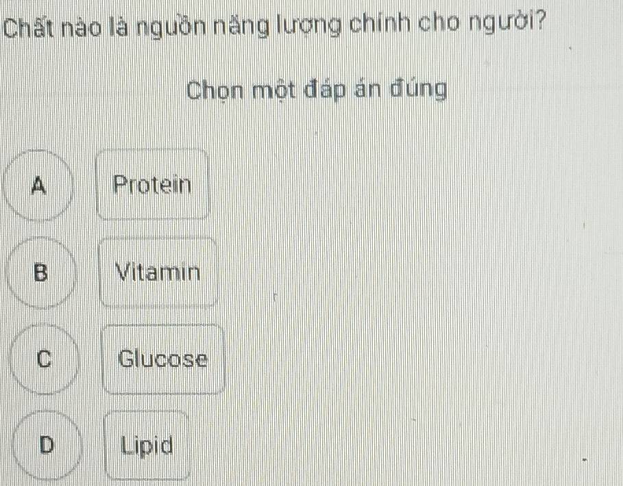 Chất nào là nguồn năng lượng chính cho người?
Chọn một đáp án đúng
A Protein
B Vitamin
C Glucose
D Lipid