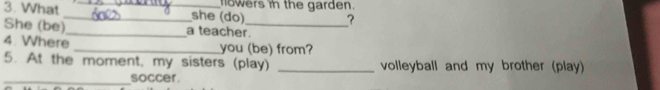 howers in the garden. 
3. What __she (do) 
? 
She (be)_ a teacher._ 
4. Where 
_you (be) from? 
5. At the moment, my sisters (play) _ volleyball and my brother (play) 
_soccer.