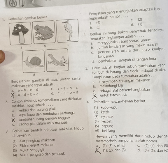 Perhatikan gambar berikut. Pernyataan yang menunjukkan adaptasi kupu-
kupu adalah nomor . . . .
a. (4) c. (2)
b. (3) d. (1)
4. Berikut ini yang bukan penyebab terjadinya
kerusakan lingkungan adalah . . . .
a b C a. menggunakan transportasi umum
b. jumlah kendaraan yang makin banyak
c. pencemaran udara dari asap knalpot
kendaraan
d. pembakaran sampah di tengah kota
5. Daun adalah bagian tubuh tumbuhan yang
d e tumbuh di batang dan tidak terdapat di akar.
Berdasarkan gambar di atas, urutan rantai Fungsi daun pada tumbuhan adalah . . . .
makanan yang tepat adalah . . . . a. menyimpan cadangan makanan
a. a-b-e-d C. a-e-b-c b. melindungi biji
a-d-b-c d. c-a-b-d c. sebagai alat perkembangbiakan
A untuk fotosintesis
2. Contoh simbiosis komensalisme yang dilakukan 6. Perhatikan hewan-hewan berikut.
makhluk hidup adalah . . . .
a. kerbau dan burung jalak (1) kupu-kupu
b. kupu-kupu dan tumbuhan berbunga (2) katak
tumbuhan inang dengan anggrek (3) nyamuk
d. cacing pita dalam usus manusia (4) kecoak
3. Perhatikan bentuk adaptasi makhluk hidup (5) capung
(6) belalang
di bawah ini. Hewan yang memiliki daur hidup denga
(1) Alat pengisap makanan metamorfosis sempurna adalah nomor . . . .
(2) Bibir menjilat makanan
(3) Mulut penggigit a- (1), (3), dan (6) c. (2), (4), dan (5)
(4) Mulut pengisap dan penusuk (1), (2), dan (3) d. (4),(5 ), dan (6)