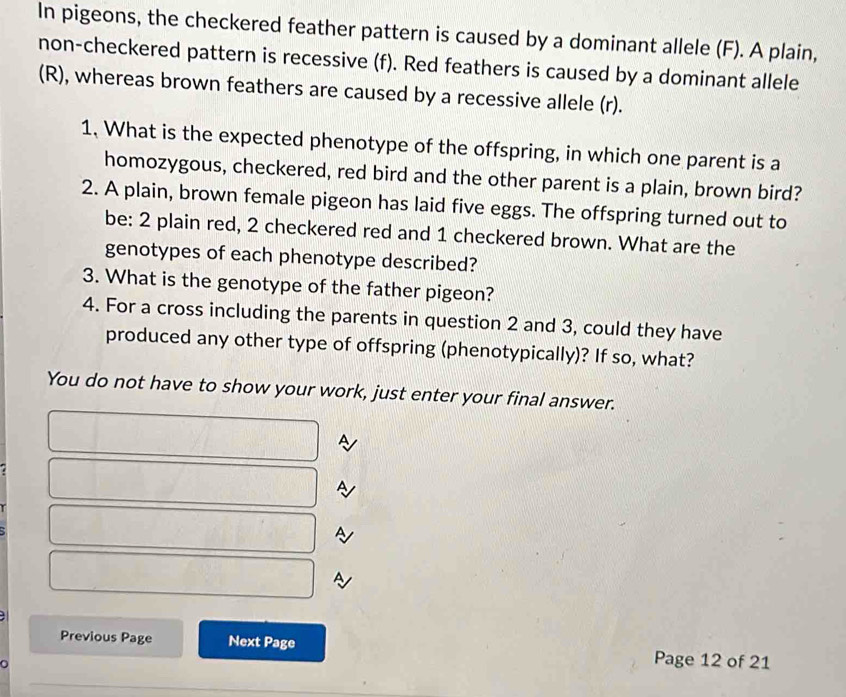 In pigeons, the checkered feather pattern is caused by a dominant allele (F). A plain, 
non-checkered pattern is recessive (f). Red feathers is caused by a dominant allele 
(R), whereas brown feathers are caused by a recessive allele (r). 
1, What is the expected phenotype of the offspring, in which one parent is a 
homozygous, checkered, red bird and the other parent is a plain, brown bird? 
2. A plain, brown female pigeon has laid five eggs. The offspring turned out to 
be: 2 plain red, 2 checkered red and 1 checkered brown. What are the 
genotypes of each phenotype described? 
3. What is the genotype of the father pigeon? 
4. For a cross including the parents in question 2 and 3, could they have 
produced any other type of offspring (phenotypically)? If so, what? 
You do not have to show your work, just enter your final answer. 
~ 
~ 
s 
Previous Page Next Page Page 12 of 21 
a