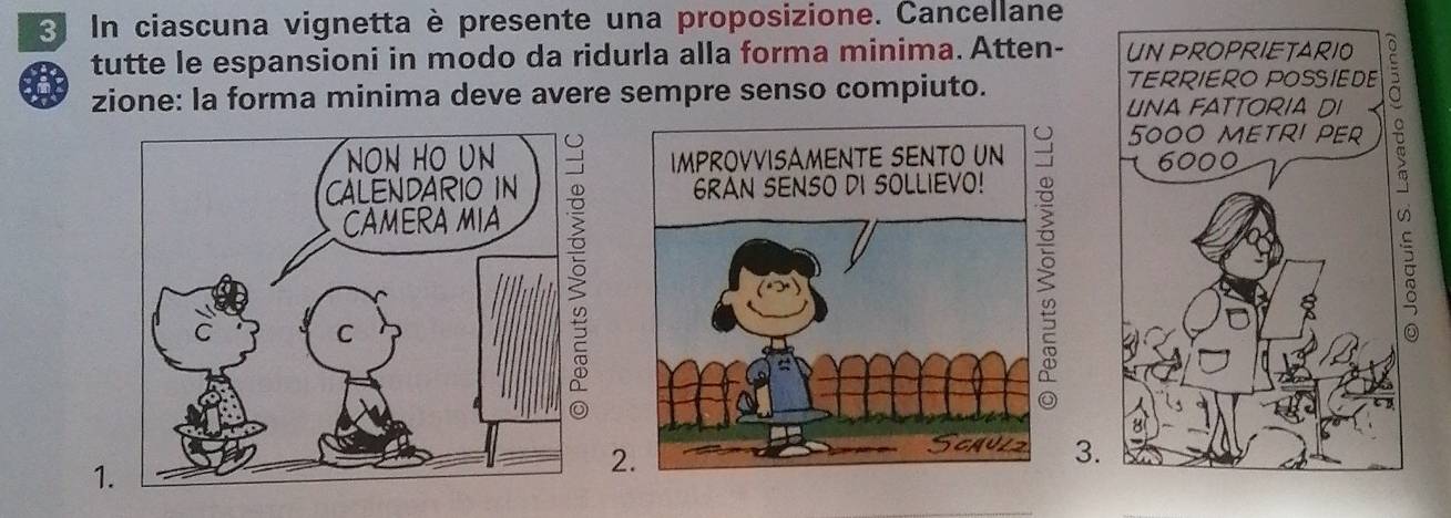 In ciascuna vignetta è presente una proposizione. Cancellane 
tutte le espansioni in modo da ridurla alla forma minima. Atten- 
zione: la forma minima deve avere sempre senso compiuto. 
3. 
1 
2.