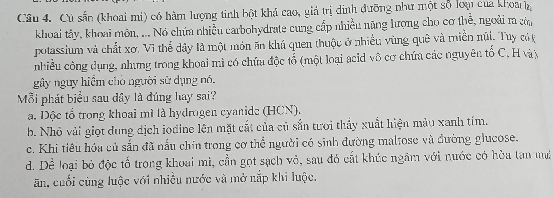 Củ sắn (khoai mì) có hàm lượng tinh bột khá cao, giá trị dinh dưỡng như một sô loại cua khoai lạ
khoai tây, khoai môn, ... Nó chứa nhiều carbohydrate cung cấp nhiều năng lượng cho cơ thể, ngoài ra còn
potassium và chất xơ. Vì thế đây là một món ăn khá quen thuộc ở nhiều vùng quê và miền núi. Tuy cók
nhiều công dụng, nhưng trong khoai mì có chứa độc tố (một loại acid vô cơ chứa các nguyên tố C, H và)
gây nguy hiểm cho người sử dụng nó.
Mỗi phát biểu sau đây là đúng hay sai?
a. Độc tố trong khoai mì là hydrogen cyanide (HCN).
b. Nhỏ vài giọt dung dịch iodine lên mặt cắt của củ sắn tươi thấy xuất hiện màu xanh tím.
c. Khi tiêu hóa củ sắn đã nấu chín trong cơ thể người có sinh đường maltose và đường glucose.
d. Để loại bỏ độc tố trong khoai mì, cần gọt sạch vỏ, sau đó cắt khúc ngâm với nước có hòa tan mu
ăn, cuối cùng luộc với nhiều nước và mở nắp khi luộc.