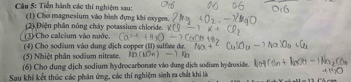 Tiến hành các thí nghiệm sau: 
(1) Cho magnesium vào bình đựng khí oxygen. 
(2) Điện phân nóng chảy potassium chloride. 
(3) Cho calcium vào nước. 
(4) Cho sodium vào dung dịch copper (II) sulfate du. 
(5) Nhiệt phân sodium nitrate. 
(6) Cho dung dịch sodium hydrocarbonate vào dung dịch sodium hydroxide. 
Sau khi kết thúc các phản ứng, các thí nghiệm sinh ra chất khí là 
_ 11-1