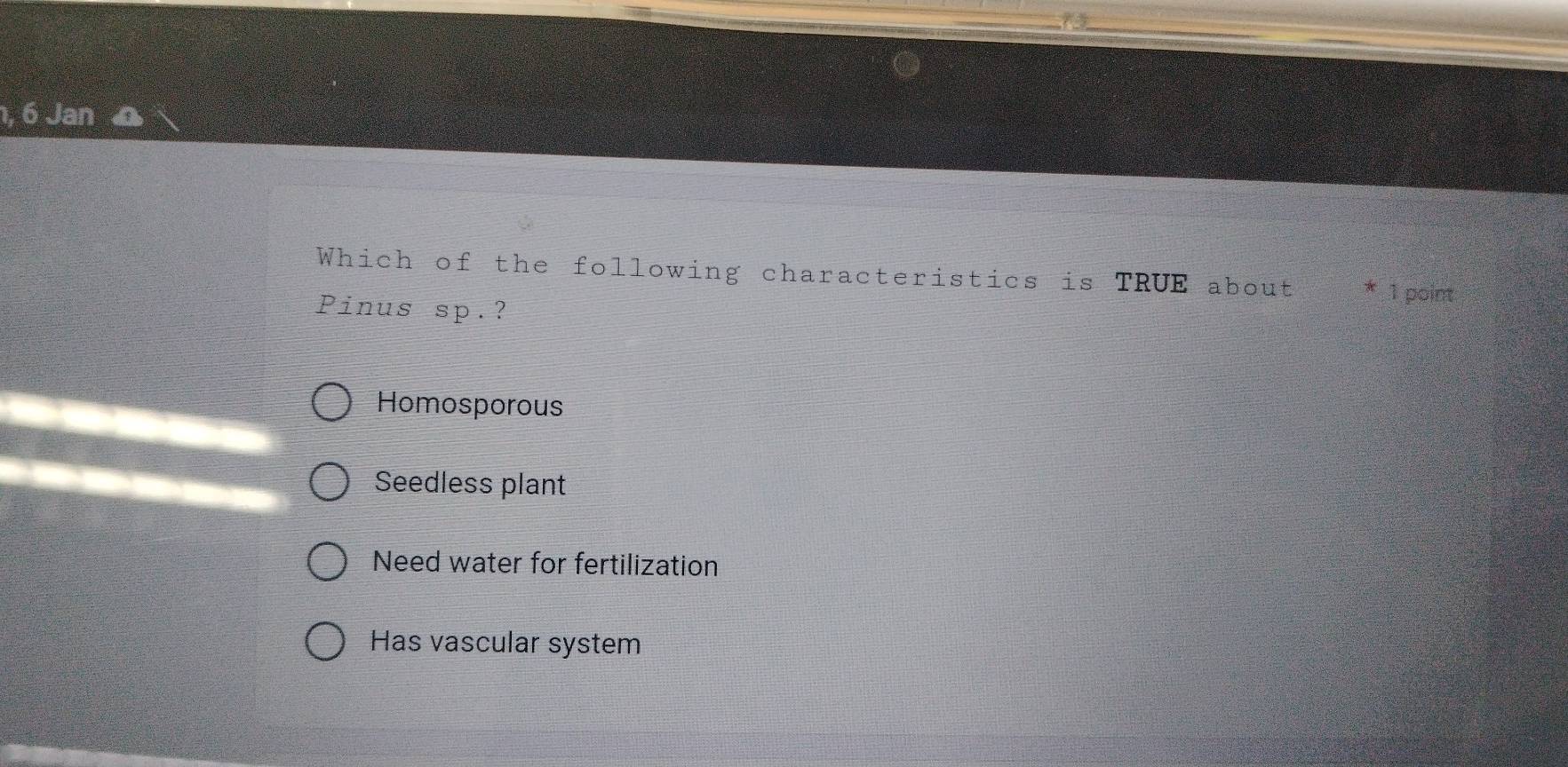 Jan
Which of the following characteristics is TRUE about * 1 point
Pinus sp.?
Homosporous
Seedless plant
Need water for fertilization
Has vascular system