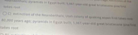 anderthais; pyramids in Egypt built; 5,067-year-old great bristlecone pine fist 
takes root 
C) extinction of the Neanderthals; Utah colony of quaking aspen first takes mot
80,000 years ago; pyramids in Egypt built; 5,067-year-old great bristlecone pise firs 
takes root