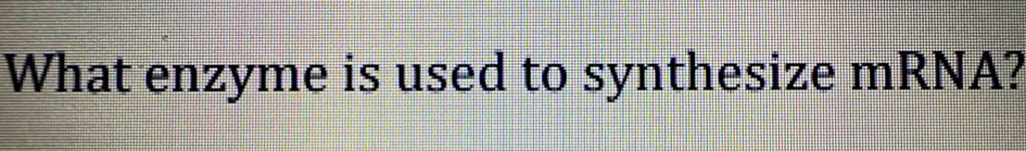 What enzyme is used to synthesize mRNA?
