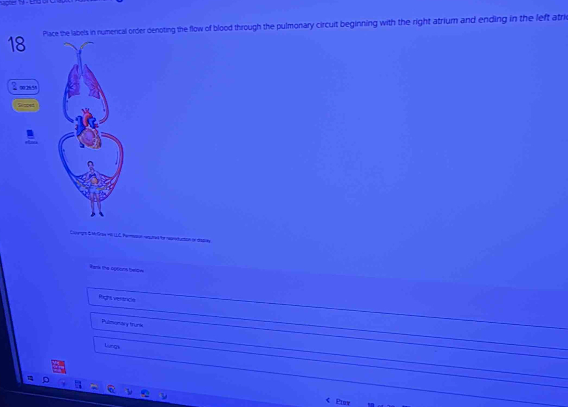 Place the labels in numerical order denoting the flow of blood through the pulmonary circuit beginning with the right atrium and ending in the left atri
00/26:51
Sicaped
rghs &McGrse HI LLC. Permsson reautred for reproduction or dieplay
Rank the optons below
Right ventricle
Pulmonary trunk
Lungs
Prov