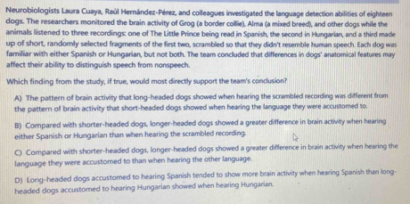 Neurobiologists Laura Cuaya, Raúl Hernández-Pérez, and colleagues investigated the language detection abilities of eighteen
dogs. The researchers monitored the brain activity of Grog (a border collie), Alma (a mixed breed), and other dogs while the
animals listened to three recordings: one of The Little Prince being read in Spanish, the second in Hungarian, and a third made
up of short, randornly selected fragments of the first two, scrambled so that they didn't resemble human speech. Each dog was
familiar with either Spanish or Hungarian, but not both. The team concluded that differences in dogs' anatomical features may
affect their ability to distinguish speech from nonspeech.
Which finding from the study, if true, would most directly support the team's conclusion?
A) The pattern of brain activity that long-headed dogs showed when hearing the scrambled recording was different from
the pattern of brain activity that short-headed dogs showed when hearing the language they were accustomed to
B) Compared with shorter-headed dogs, longer-headed dogs showed a greater difference in brain activity when hearing
either Spanish or Hungarian than when hearing the scrambled recording
C) Compared with shorter-headed dogs, longer-headed dogs showed a greater difference in brain activity when hearing the
language they were accustomed to than when hearing the other language.
D) Long-headed dogs accustomed to hearing Spanish tended to show more brain activity when hearing Spanish than long-
headed dogs accustomed to hearing Hungarian showed when hearing Hungarian.