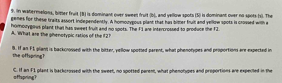 In watermelons, bitter fruit (B) is dominant over sweet fruit (b), and yellow spots (S) is dominant over no spots (s). The
genes for these traits assort independently. A homozygous plant that has bitter fruit and yellow spots is crossed with a
homozygous plant that has sweet fruit and no spots. The F1 are intercrossed to produce the F2.
A. What are the phenotypic ratios of the F2?
B. If an F1 plant is backcrossed with the bitter, yellow spotted parent, what phenotypes and proportions are expected in
the offspring?
C. If an F1 plant is backcrossed with the sweet, no spotted parent, what phenotypes and proportions are expected in the
offspring?