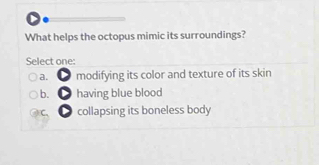 What helps the octopus mimic its surroundings?
Select one:
a. ● modifying its color and texture of its skin
b. ● having blue blood
c. collapsing its boneless body