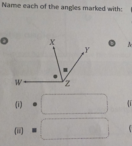 Name each of the angles marked with:
b M
(i) (i 
(ii)